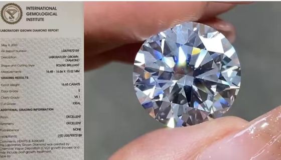 Loses Labor IGI stellte Diamanten 16.63Carat VS1 ringsum e-Farbe her